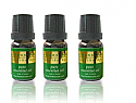 3X Essential Oil »